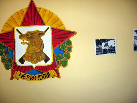 Foto 10